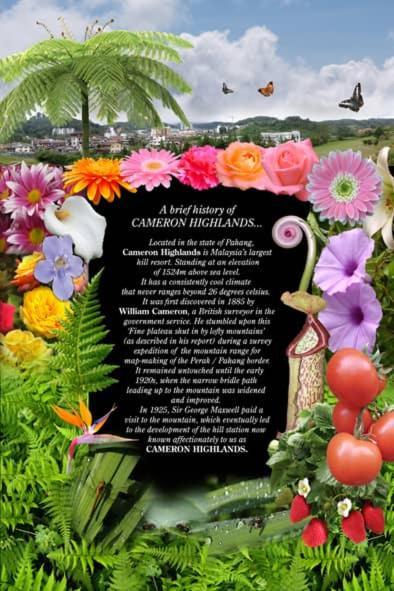 Hillview Inn Cameron Highlands Promo Tanah Rata Kültér fotó